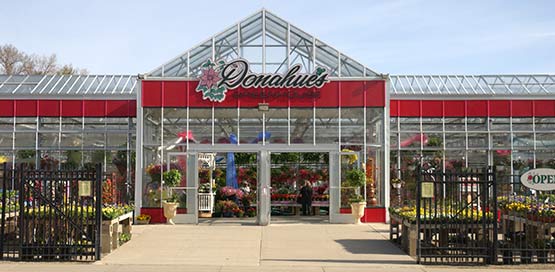 Donahue's Greenhouse - Faribault, MN