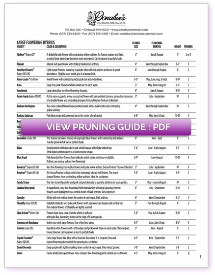 Pruning-Guide-view