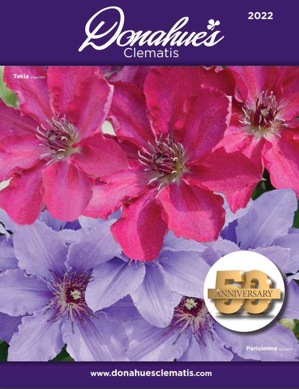 Donahue's 2022 Clematis Catalog