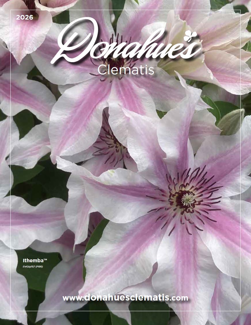 CATALOG COVER